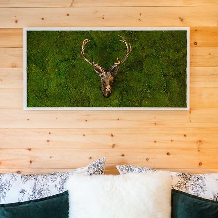 Haus Am Wald Villa Bad Schandau Dış mekan fotoğraf