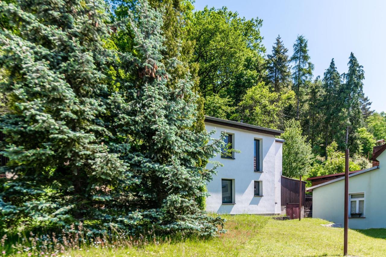 Haus Am Wald Villa Bad Schandau Dış mekan fotoğraf