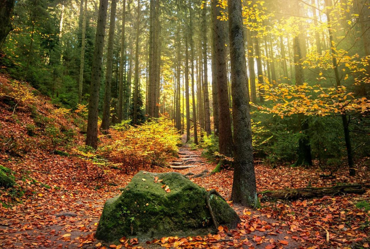Haus Am Wald Villa Bad Schandau Dış mekan fotoğraf